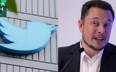 Elon Musk lanza la nueva forma de verificación en Twitter y horas después la elimina